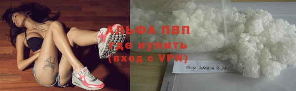 a pvp Пересвет