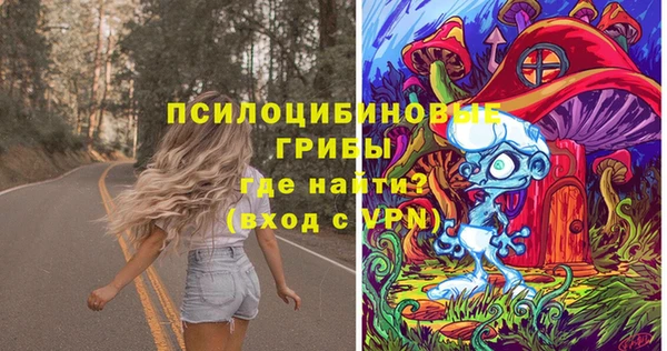 мдпв Пестово