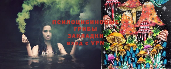мдпв Пестово