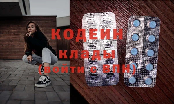 мдпв Пестово