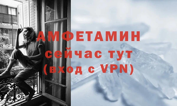 мдпв Пестово