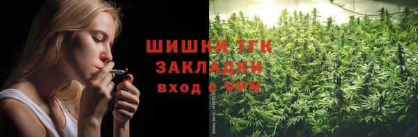 a pvp Пересвет