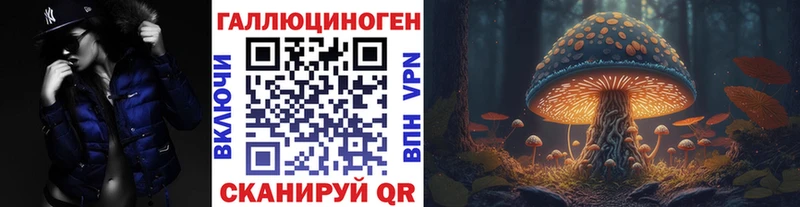mega ссылка Камышин Псилоцибиновые грибы GOLDEN TEACHER магазин