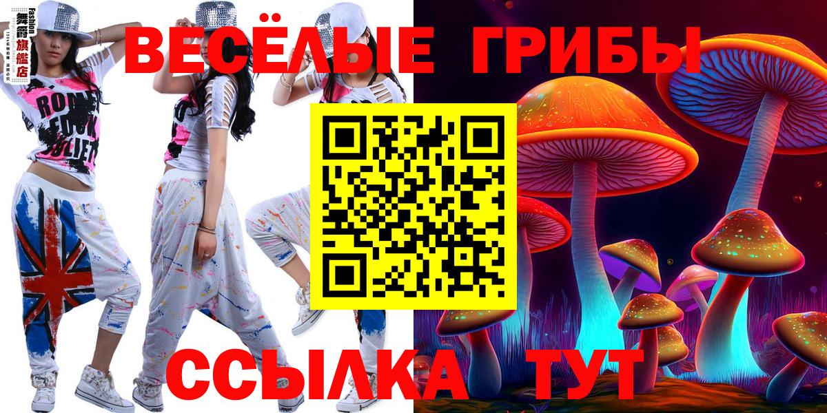 Псилоцибиновые грибы мухоморы Камышин