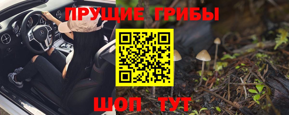 Камышин  Галлюциногенные грибы мухоморы  Псилоцибиновые грибы Psilocybe  Вход с VPN 